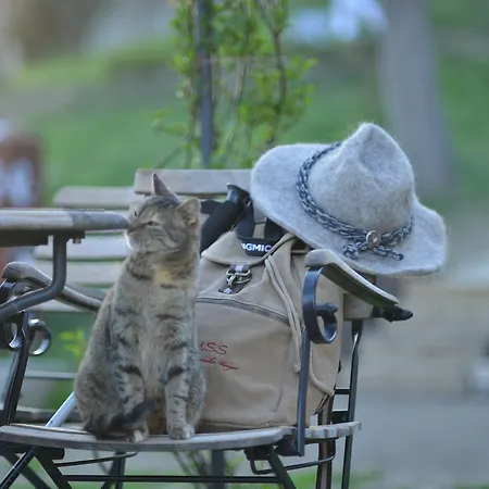 Weingut Tauss 4* Leutschach