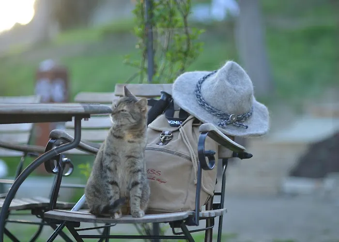 Weingut Tauss 4* 루트스카치